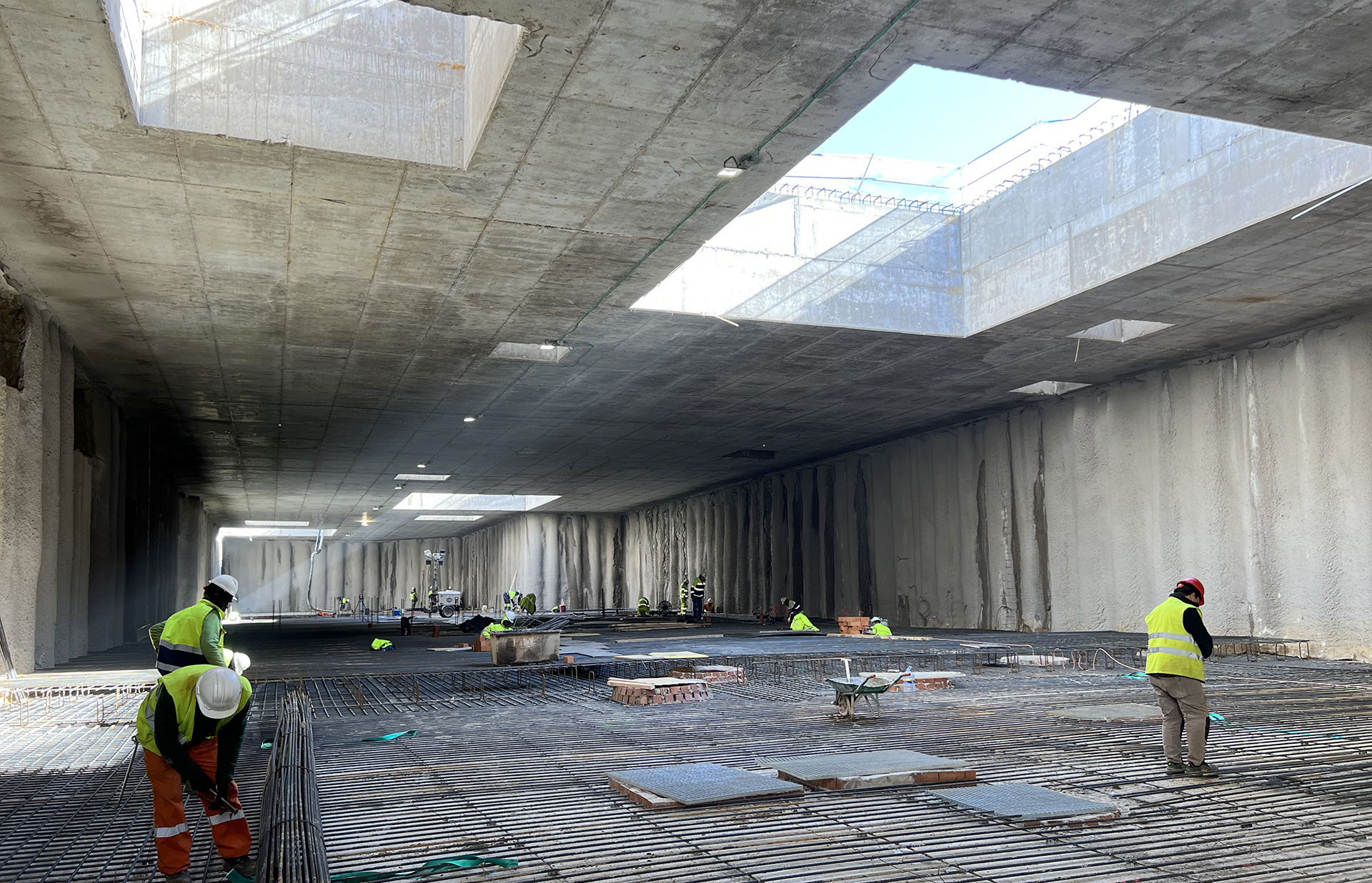 IMG_3099 fly_10911.jpg